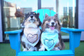 I Woof You | Convo Heart Dog Bandana