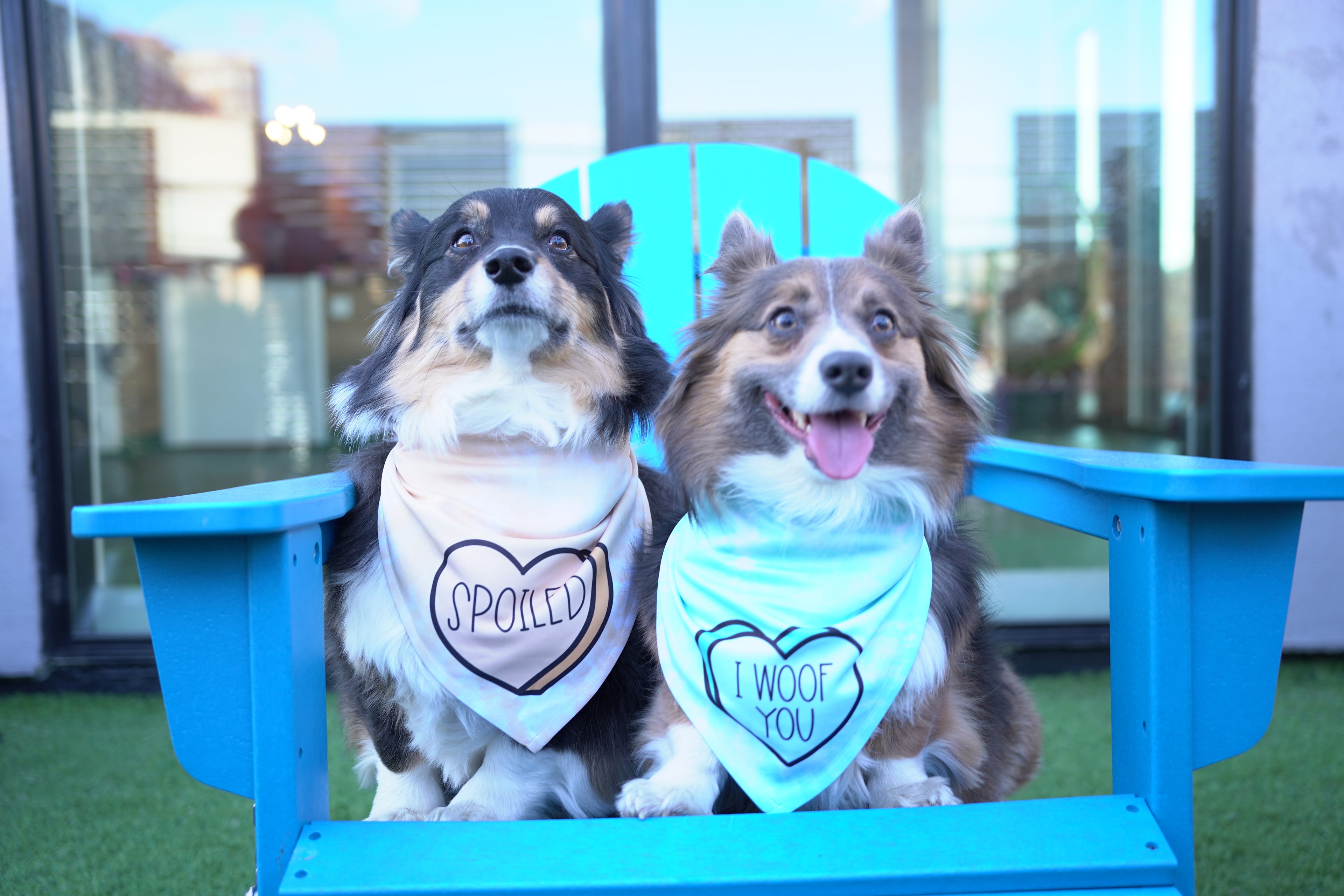I Woof You | Convo Heart Dog Bandana