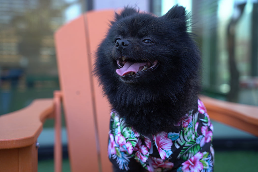 Hawaiian Camp Shirt - Paradise Nights