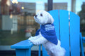 The Real House Dogs of New Jersey Bandana