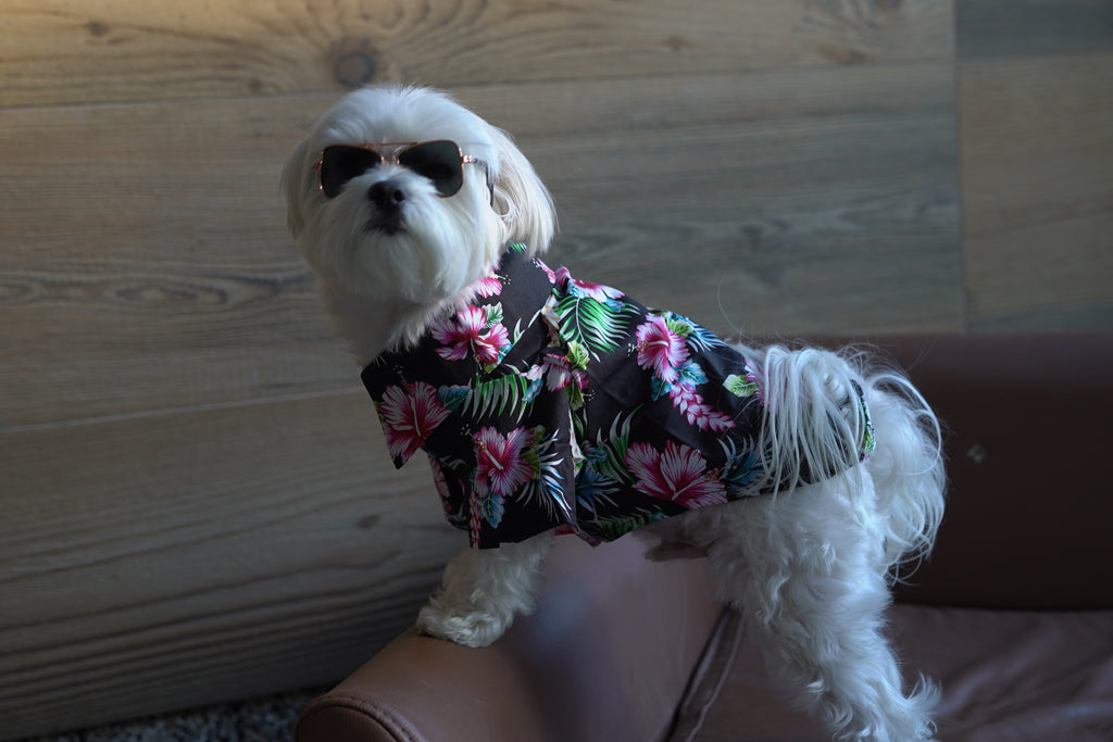 Hawaiian Camp Shirt - Paradise Nights