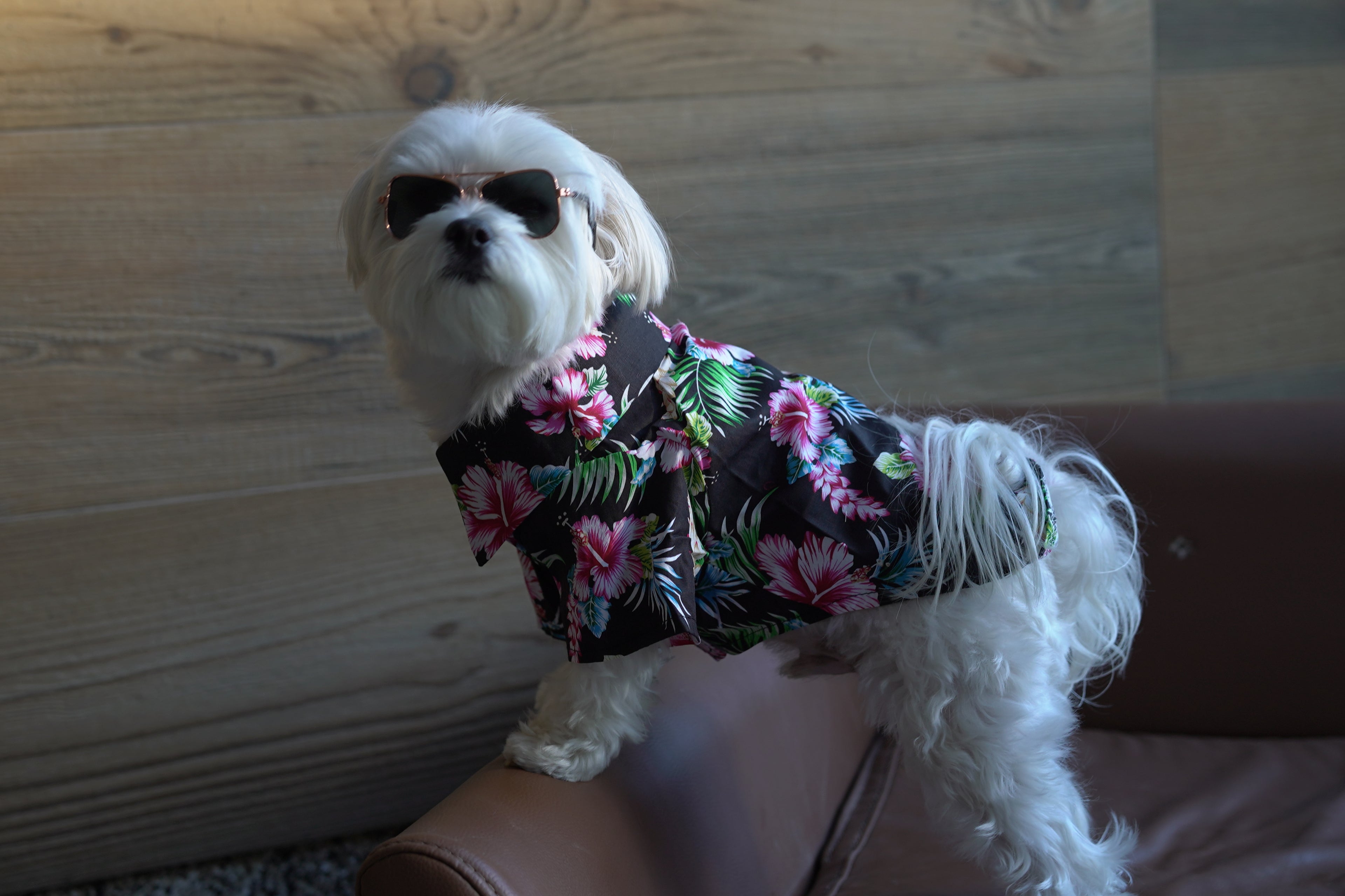 Hawaiian Camp Shirt - Paradise Nights
