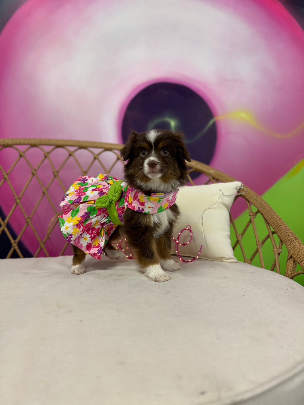 Pink Hawaiian Floral Dog Harness Dress w/ Matching Leash