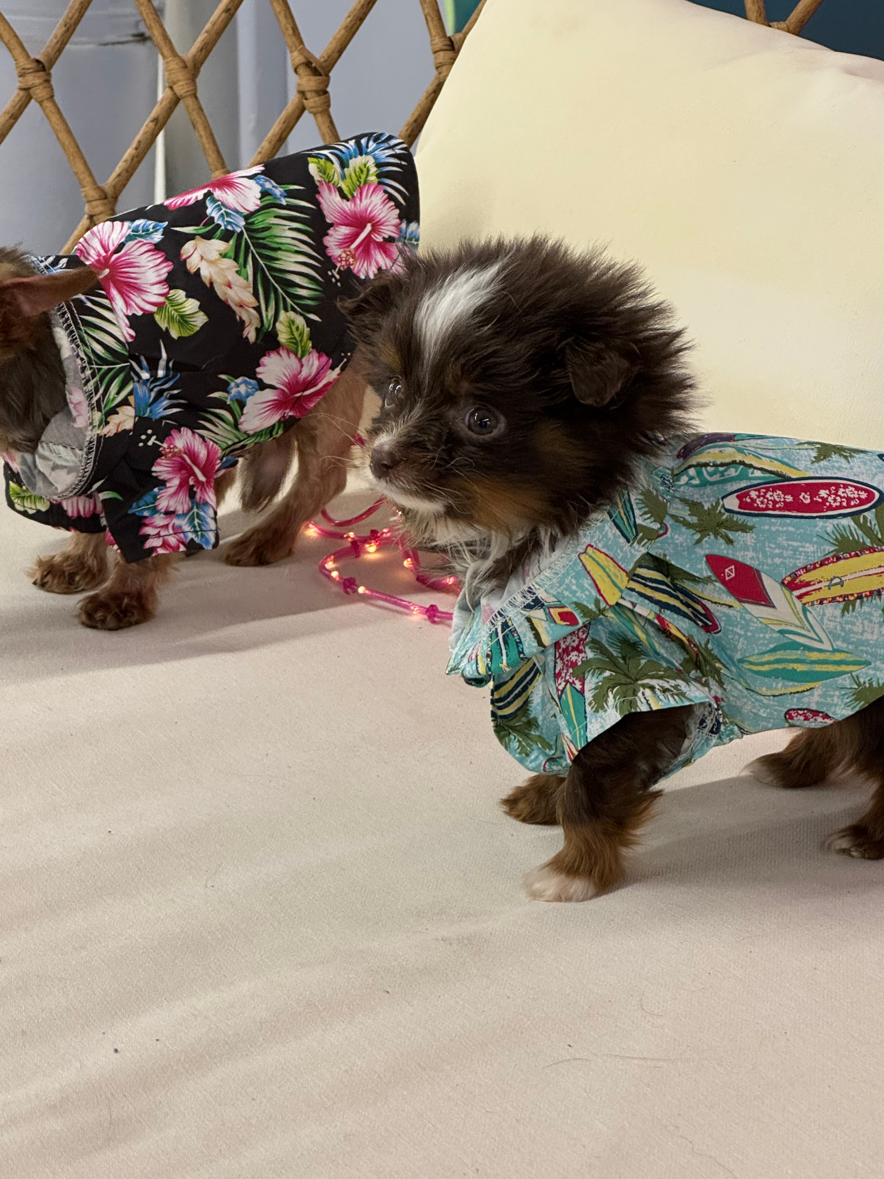 Hawaiian Camp Shirt - Surfboards and Palms