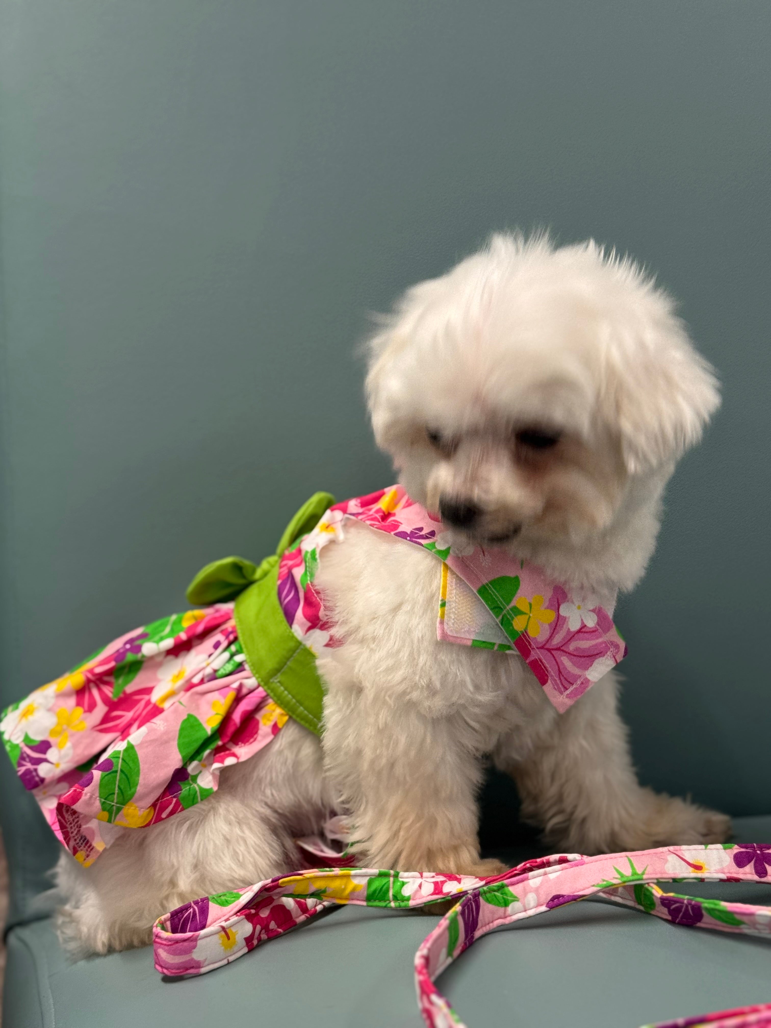 Pink Hawaiian Floral Dog Harness Dress w/ Matching Leash