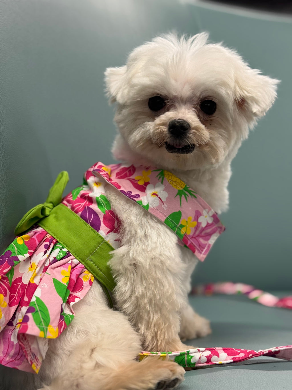 Pink Hawaiian Floral Dog Harness Dress w/ Matching Leash