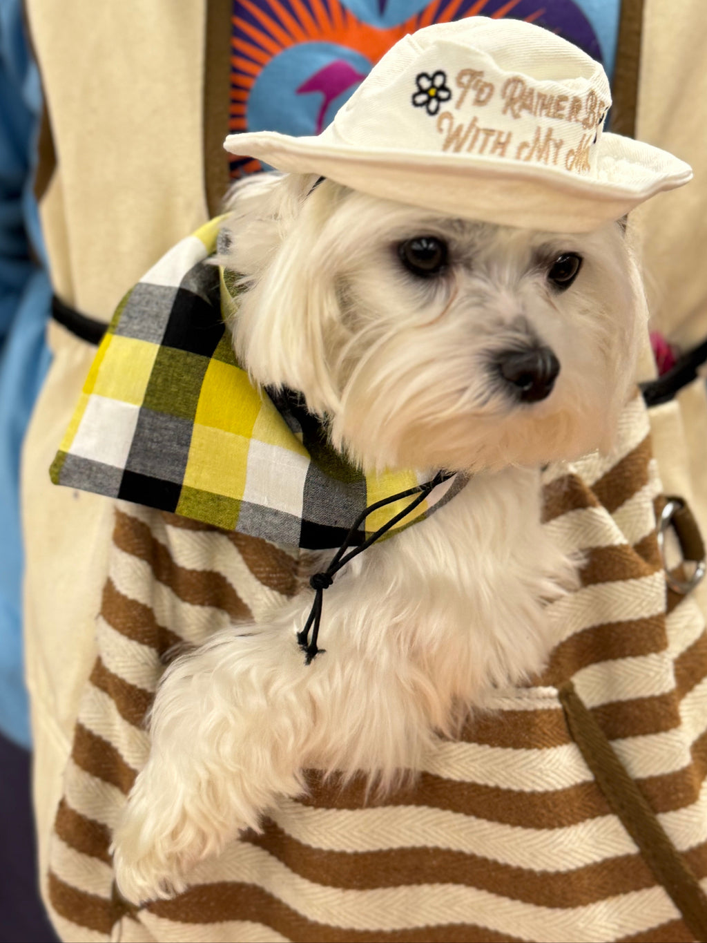 Dog Bucket Hat - I'd Rather Be With My Mom