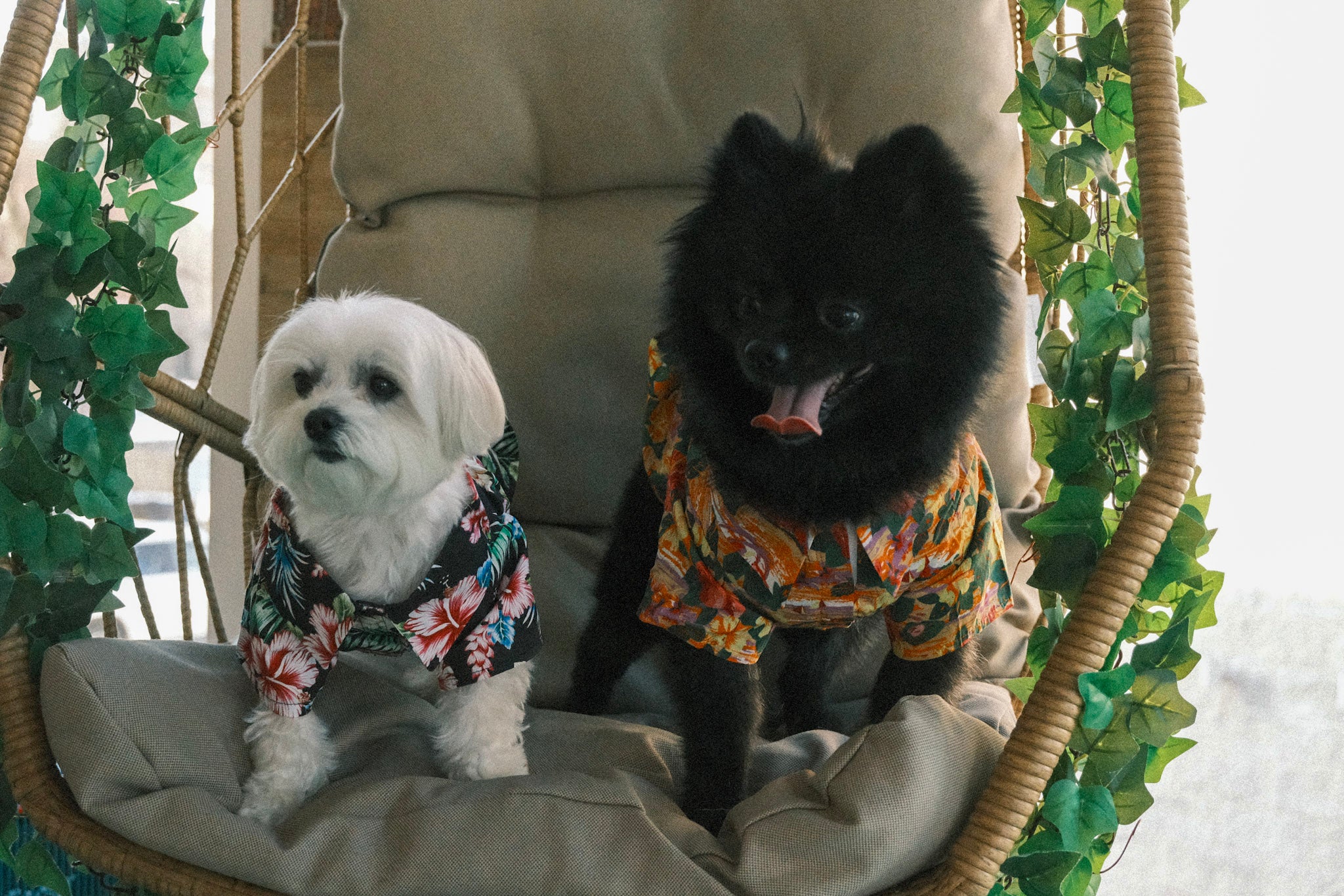Hawaiian Camp Shirt - Sunset Hibiscus