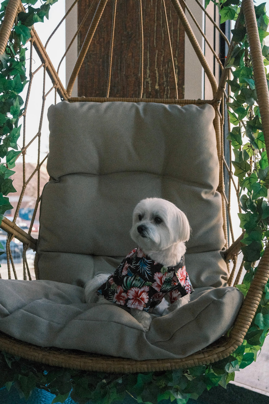 Hawaiian Camp Shirt - Paradise Nights