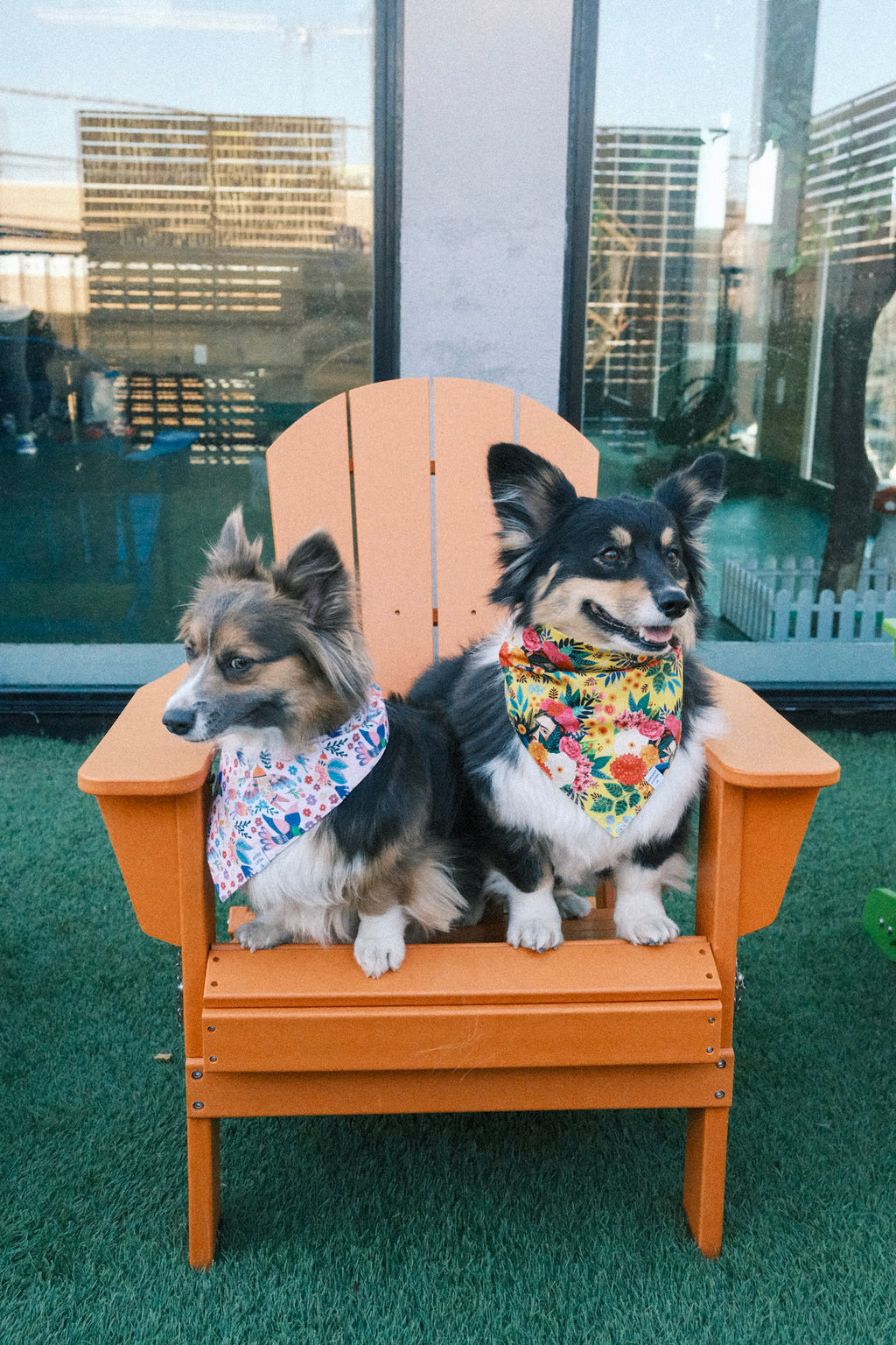 Frida Kahlo (Yellow) Dog Bandana