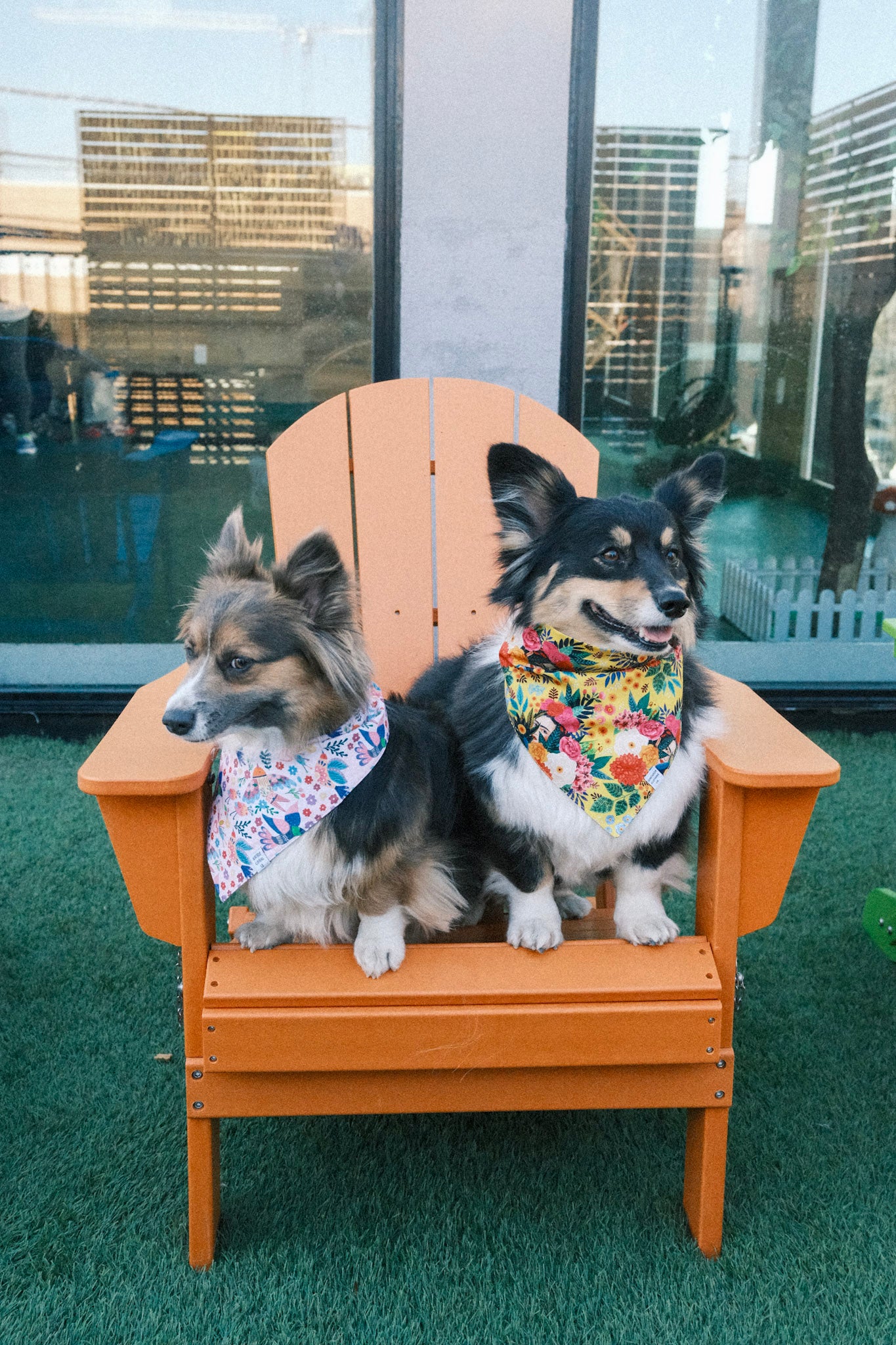 Fiesta Bird Dog Bandana