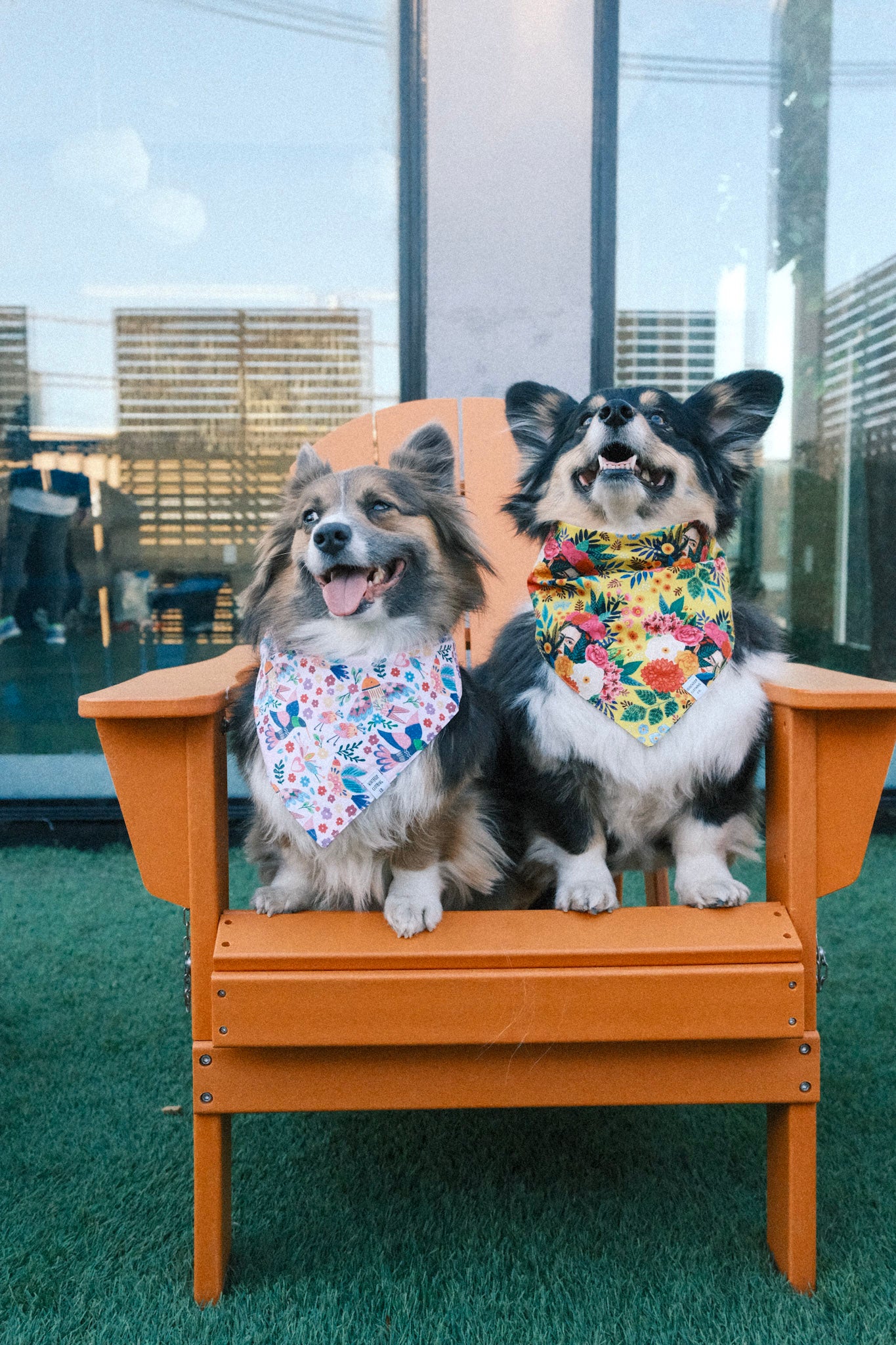 Frida Kahlo (Yellow) Dog Bandana
