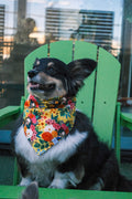 Frida Kahlo (Yellow) Dog Bandana