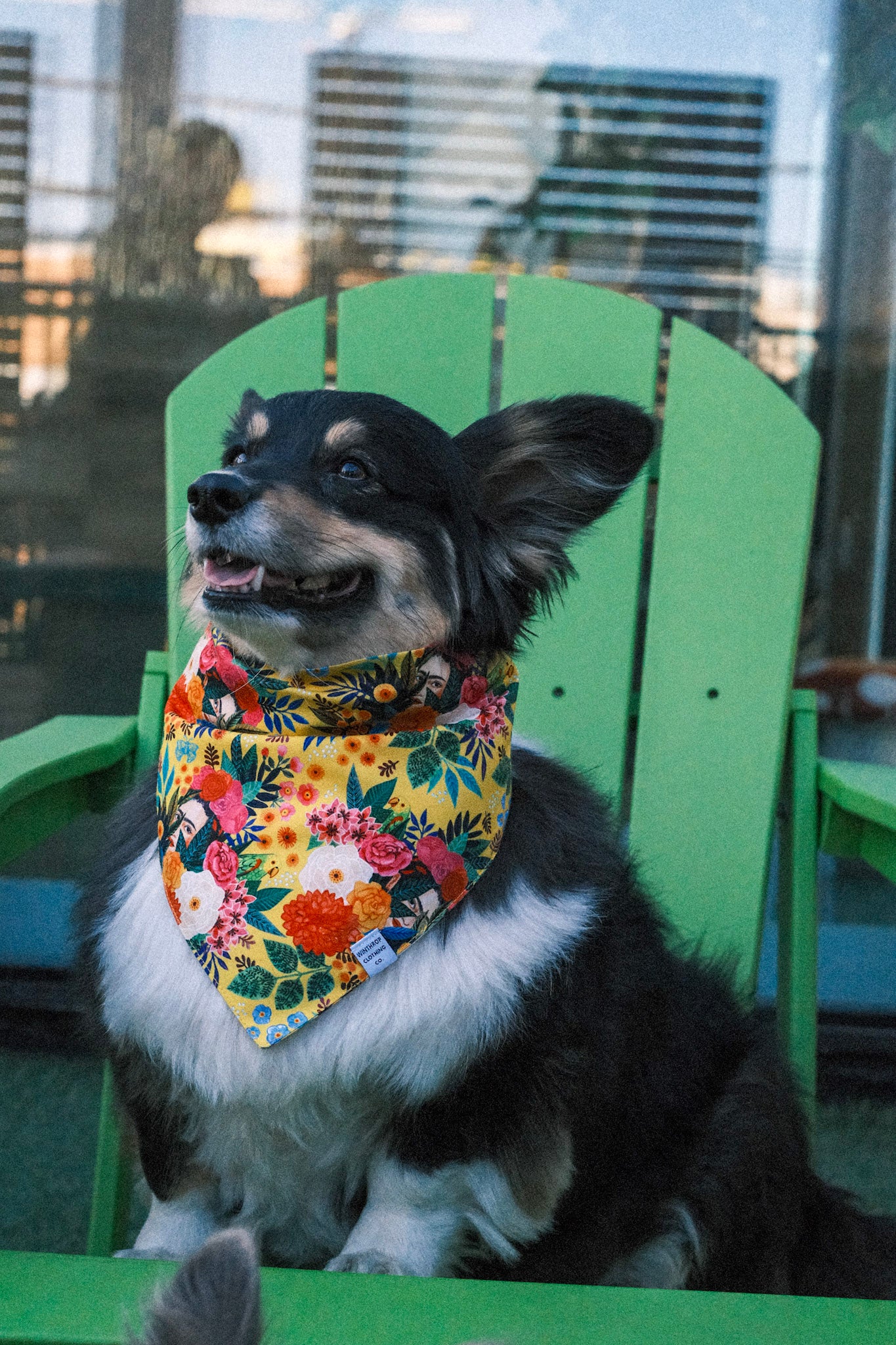 Frida Kahlo (Yellow) Dog Bandana