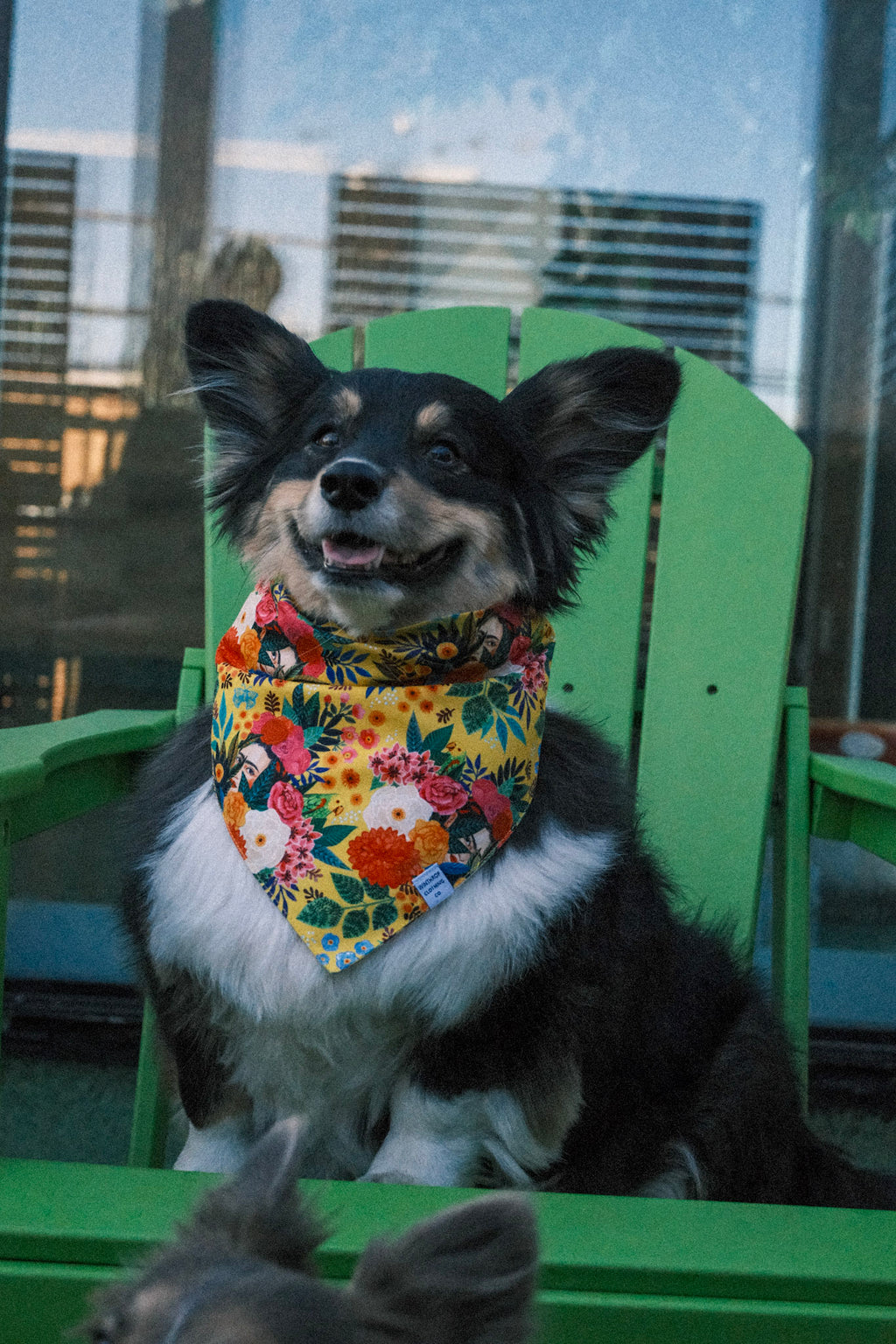 Frida Kahlo (Yellow) Dog Bandana