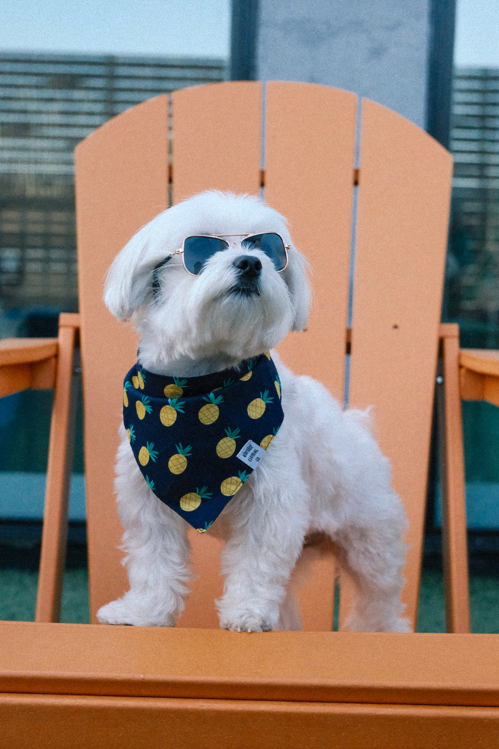 Pineapple Dog Bandana