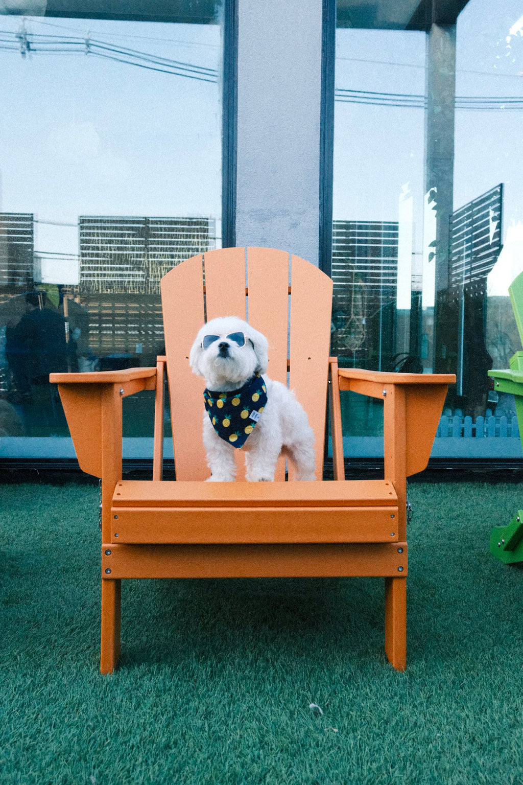 Pineapple Dog Bandana
