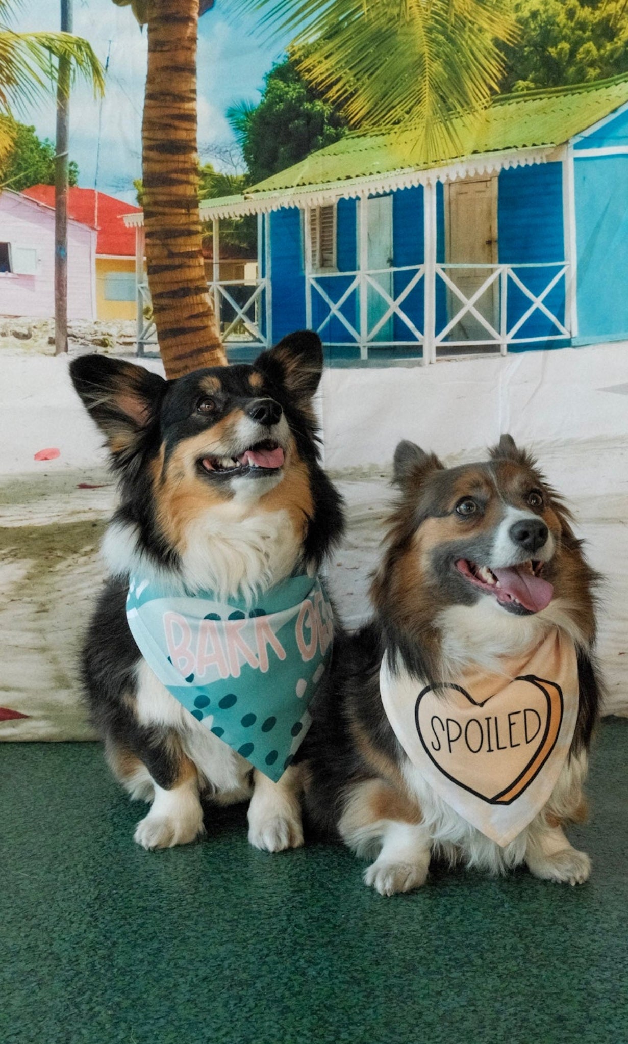 Bark Off | Funny Dog Bandana
