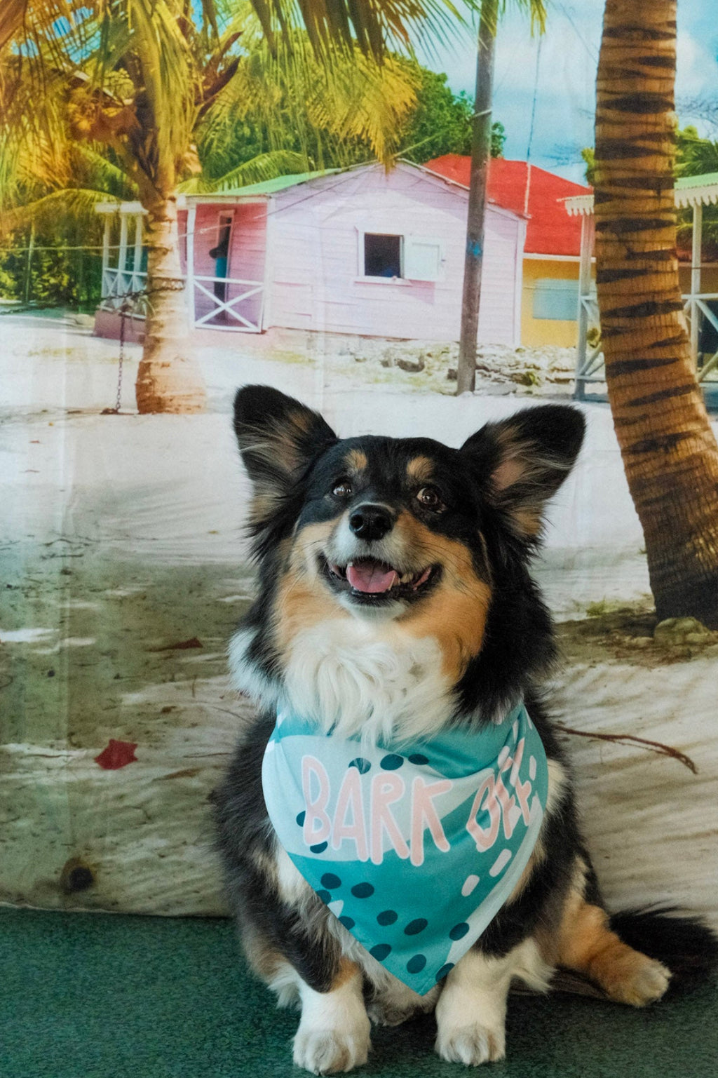 Bark Off | Funny Dog Bandana