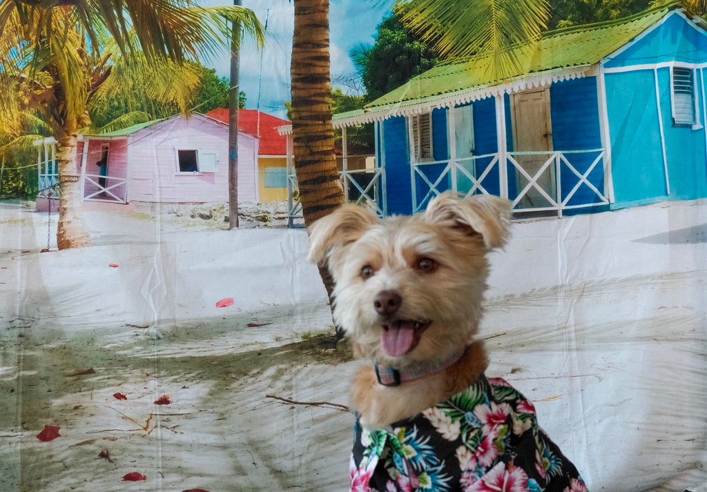 Hawaiian Camp Shirt - Paradise Nights