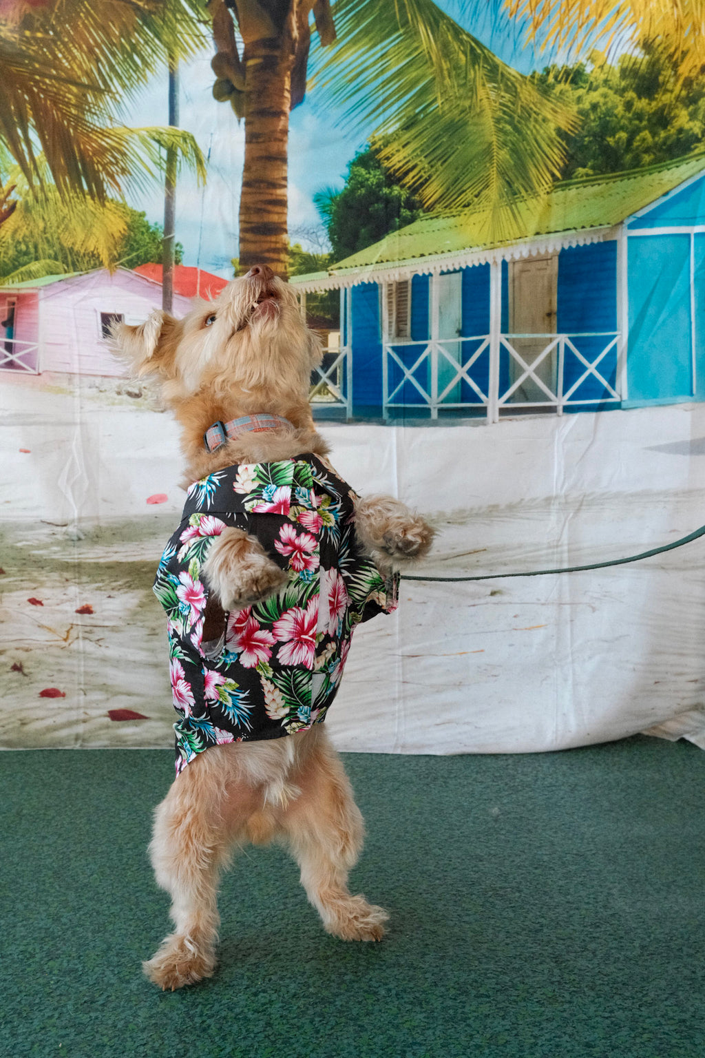 Hawaiian Camp Shirt - Paradise Nights