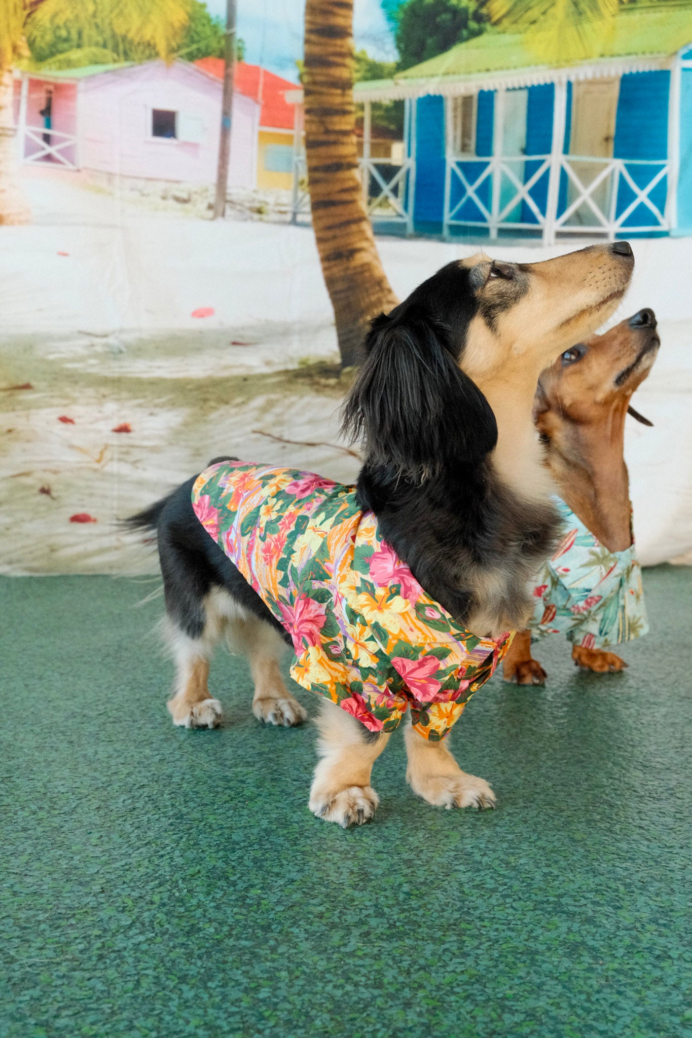 Hawaiian Camp Shirt - Sunset Hibiscus
