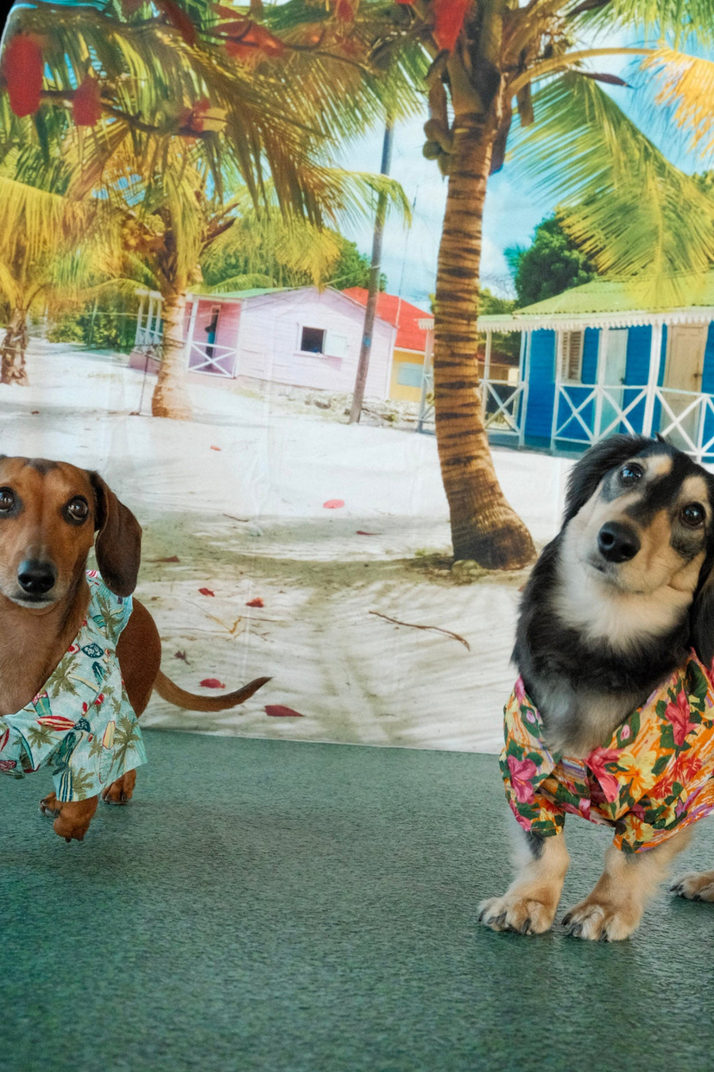 Hawaiian Camp Shirt - Surfboards and Palms