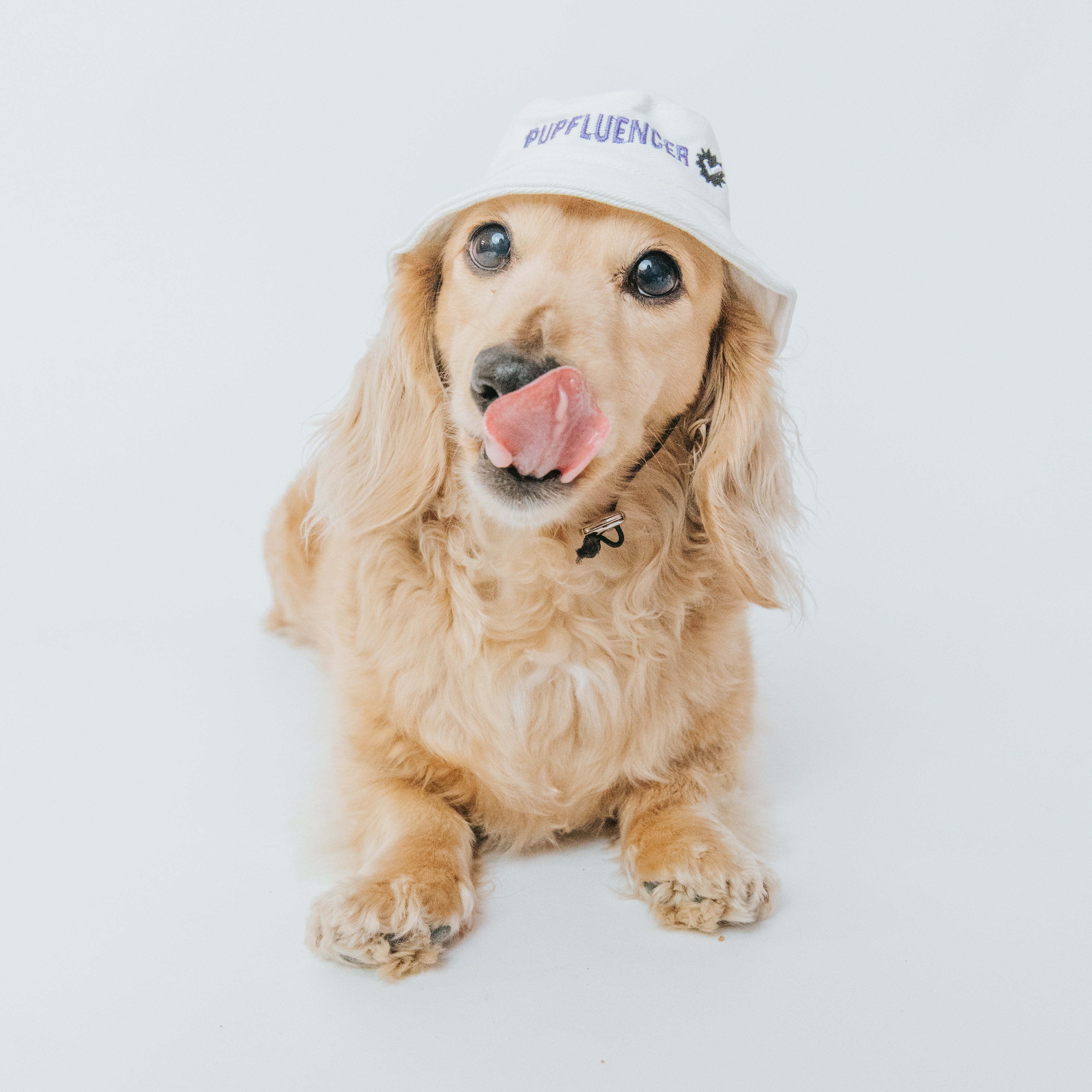 Dog Bucket Hat - Pupfluencer
